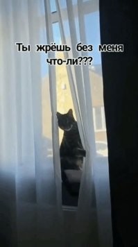 Просто гифки, всякие и&nbsp;разные