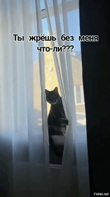 Просто гифки, всякие и&nbsp;разные