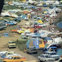 "Москвичи" сильно выигрывают по количеству цветов.