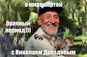 В центре Москвы водители BMW и Mercedes устроили настоящие бои ММА