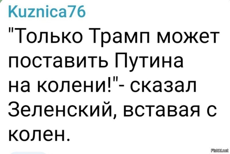 О политике и не только