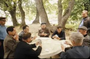 Девять друзей Петровича