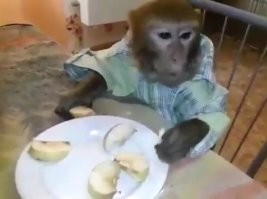 Яков Николаевич собственной персоной: