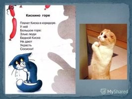 Очаровательные попытки котиков стащить еду из тарелки