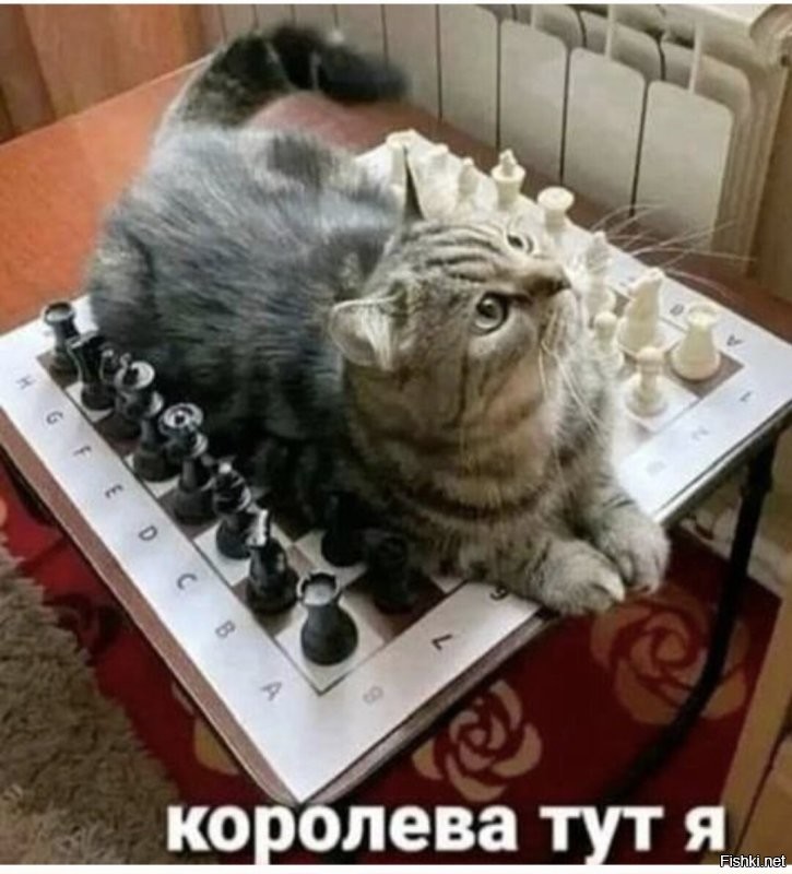 Солянка от 20.07.2025