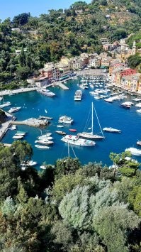 заказал на двоих билеты на самолёт туда-обратно. в Италию...
через booking 7 гостиниц на 7 дней. частный сектор. апартаменты в виде сдаваемых квартир.
в аэропорту взял в аренду Фиат 500 на 7 дней. питание в кафешках.
пицца, паста, креветки (в ресторане на побережье).
белое сухое вино за обедом и ужином.
за 7 дней посетил 7 городов.
в апартаментах только ночёвка и попер в другой город.
на всё вышло примерно 1к евро на двоих.
может чуть больше.
Но! ребята, торчать неделю в одном номере отеля и каждый день радоваться тому , что есть возможность поспать, искупаться в море , пожрать и поспать - это не моё!
я не турист, я путешественник!
недавно загрузил два велика в машину и в Варшаву на пару дней по городу покататься,
а неделю назад - в Ригу, тоже на великах по Старому городу на пару дней.
вот это по моему отдых....