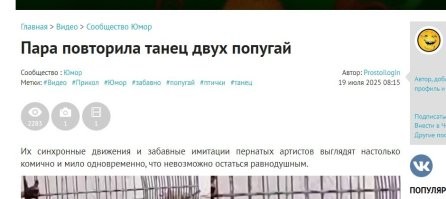 Танец двух попугай...