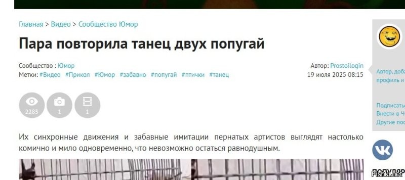 Танец двух попугай...