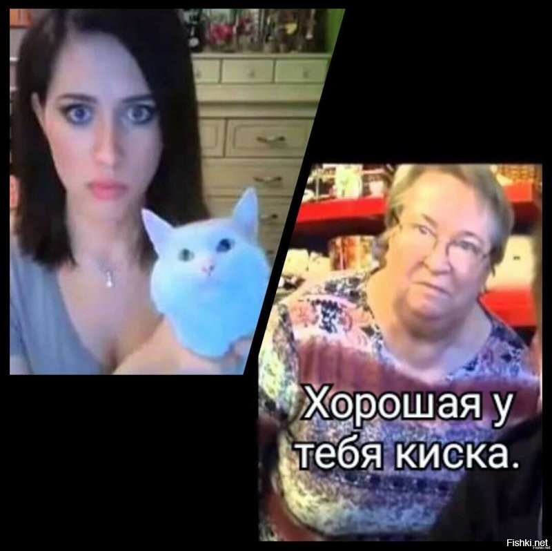 В Миннеаполисе прошел ежегодный "Кошачий тур", где люди с плакатами просят жителей показать кошек в окно