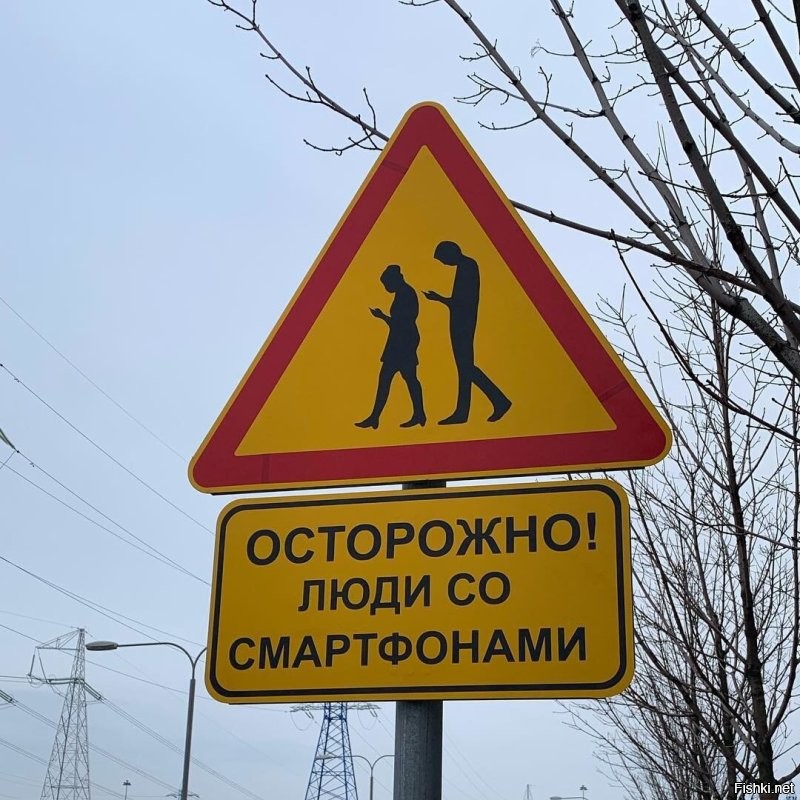 На пешеходных переходах пешеходы могут выходить на проезжую часть (трамвайные пути) после того, как оценят расстояние до приближающихся транспортных средств, их скорость и убедятся, что переход будет для них безопасен