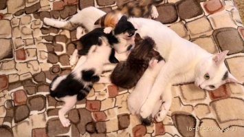 Счастье материнства в глазах...