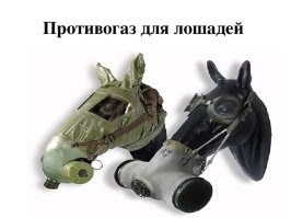 Безразмерный.