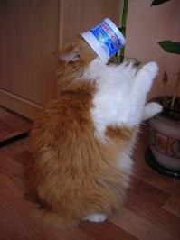 Не ищите здесь смысл. Здесь в основном маразм