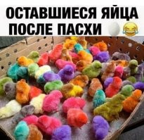Яйца на завтрак тоже бывают с подвохом: жительница Китая купила три десятка яиц, а получила цыплят