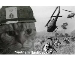 Свежие кубики