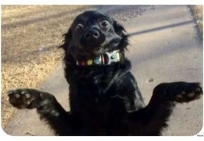 Сколько мужчин должно быть до брака?