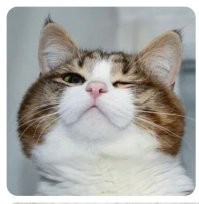 Тупиковый, говоришь? 
Тысячелетиями работает.