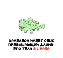 у моей тещи язык метров 8....