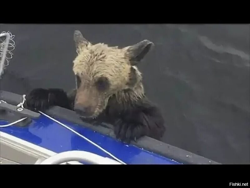 Человек.. то-есть, Юганск за бортом!