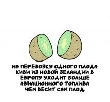 То ли дело яблоки, бананы, арбузы, мясо, гантели, танки.