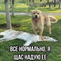 Скрины из соцсетей