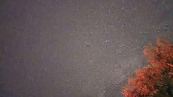 Экспериментировал с телефоном. Просто один кадр, без наложений и тп. Потом только обратил внимание, что возле дерева Млечный путь всходит