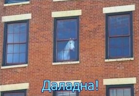 На Собчак, вроде, на похожа.
.