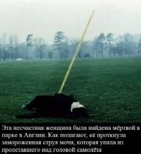 Всё вразнобой&nbsp;