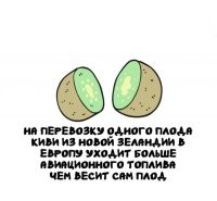 Какой идиот перевозит киви поштучно?