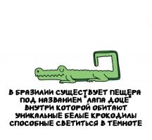 Чтобы не писать подобного бреда надо хоть изредка школу посещать, особенно уроки биологии и географии