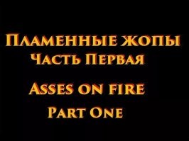 Это шедевр. Что же им не живётся спокойно?