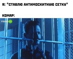 Скрины из соцсетей