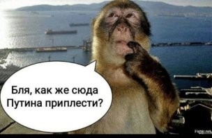 Все эти новые автомобили пойдут под пресс