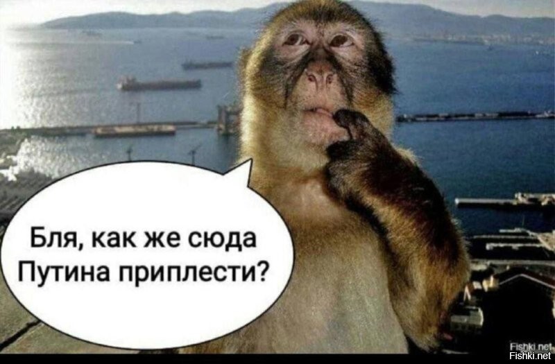 Все эти новые автомобили пойдут под пресс