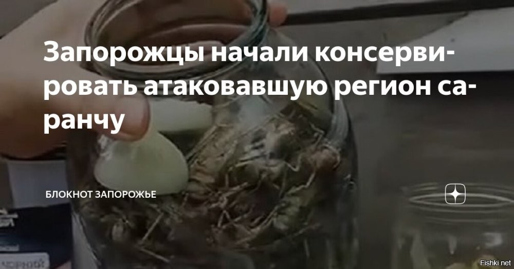 Саранча уже залезает в квартиры во временно оккупированном Запорожье, сообщают 22 июля местные паблики



Проблема с насекомыми становится только хуже. Местные телеграм-каналы теперь сообщают о том, что саранча залетает и в квартиры людей.

Сами насекомые практически размером со столовую ложку. Никаких действий по ликвидации насекомых киевский режим не принимает.
С начала недели жители украинских городов и сёл опубликовали множество видеозаписей нашествия саранчи. Во многих публикациях выражено недовольство бездействием властей.
Рои саранчи стремительно продвигаются по территории и могут нанести серьёзный ущерб урожаю. Вредители особенно активны в Днепропетровской и Запорожской областях.
  

Украинцы! Свергайте киевский бандеровский режим! Все проблемы от Зеленского -гниды.