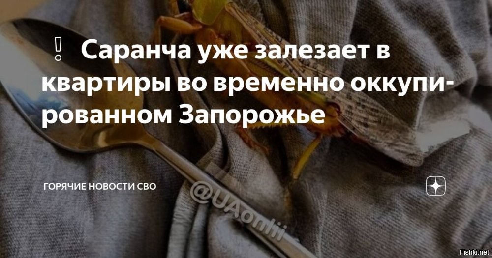 Саранча уже залезает в квартиры во временно оккупированном Запорожье, сообщают 22 июля местные паблики



Проблема с насекомыми становится только хуже. Местные телеграм-каналы теперь сообщают о том, что саранча залетает и в квартиры людей.

Сами насекомые практически размером со столовую ложку. Никаких действий по ликвидации насекомых киевский режим не принимает.
С начала недели жители украинских городов и сёл опубликовали множество видеозаписей нашествия саранчи. Во многих публикациях выражено недовольство бездействием властей.
Рои саранчи стремительно продвигаются по территории и могут нанести серьёзный ущерб урожаю. Вредители особенно активны в Днепропетровской и Запорожской областях.
  

Украинцы! Свергайте киевский бандеровский режим! Все проблемы от Зеленского -гниды.