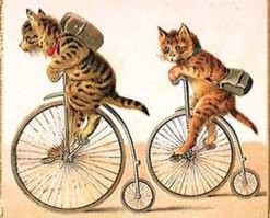 Намешалось