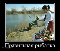 Скрины из соцсетей