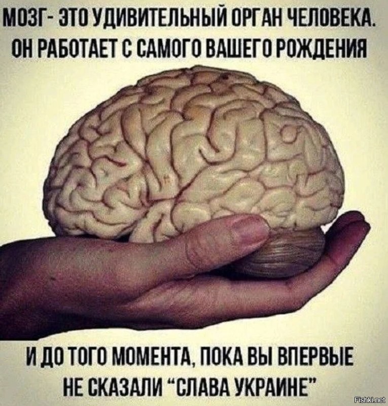 Дошло только на четвёртый год