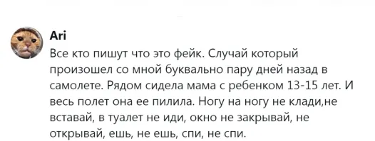 Они летели с открытом окном?