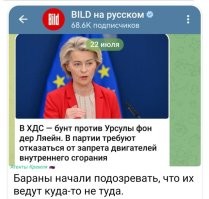 О политике и не только