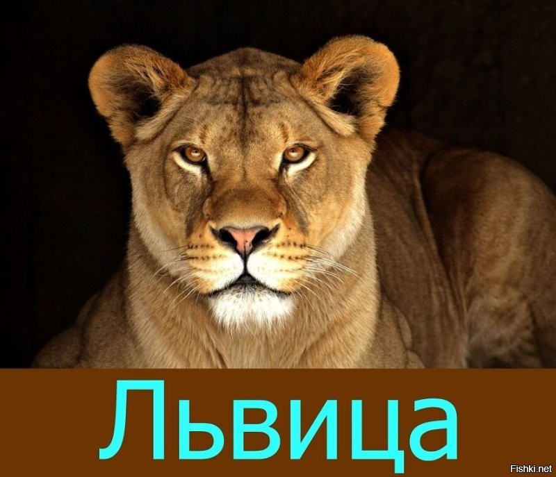 Продолжаем барражировать соцсети