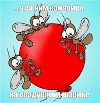 Комар-переносчик лихорадок денге и чикунгунья уже обосновался в Италии