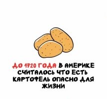Вообще-то картофель американская (точнее южноамериканская) культура и все на континенте прекрасно знали как её есть, а с приходом испанцев (1500-е) стали знать как кушать и европейцы в т.ч. и в Северной Америке
