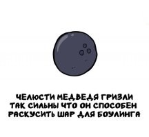 Самые сильные челюсти (если точнее сила укуса) у малайского медведя (лат. Helarctos malayanus), они могут разгрызать кокосовые орехи. А что касается шара для боулинга, то у гризли (напомню это американский подвид нашего бурого медведя) скорее зубы раскрошатся прежде чем он его раскусит