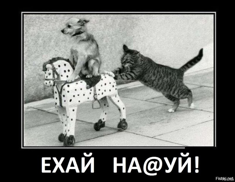 Поговорим о «спорных территориях»