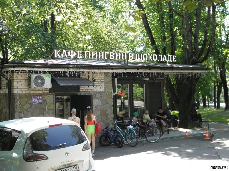 Отлично.  20 градусов может немного больше,  совсем меленькие детки купаются...
Если ехать, то только сейчас. Ещё немного и вода зацветёт, пока ещё чистая.

В Шоколадном Пингвине обеды и мороженое ,рекомендую.  Только лимонад не бери, он гадкий на подсластителях .
Остальное отлично...
