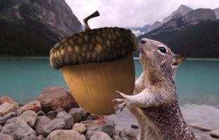 Не ищите здесь смысл. Здесь в основном маразм