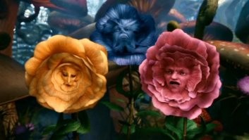 роза из игры "Аlice in wonderland"