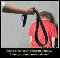 О политике и не только